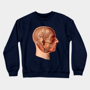 Medical illustration from atlas of human anatomy Crewneck Sweatshirt